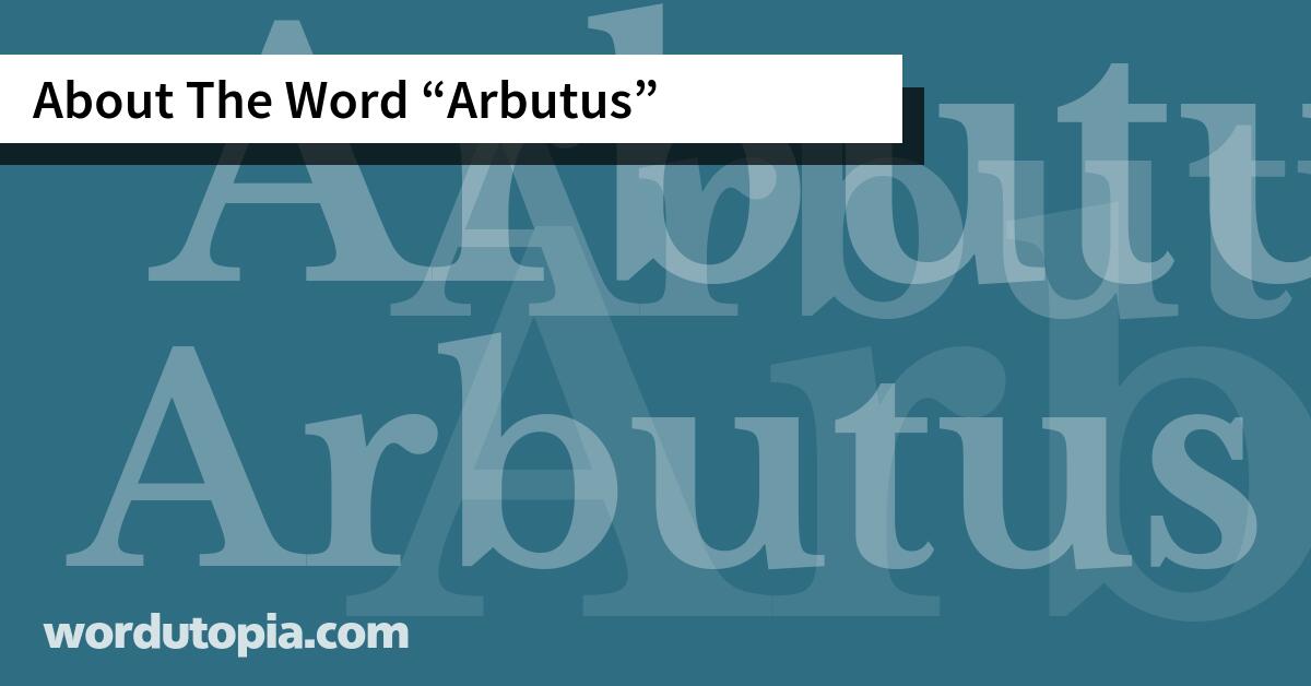 About The Word Arbutus