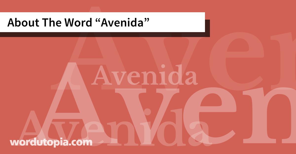 About The Word Avenida