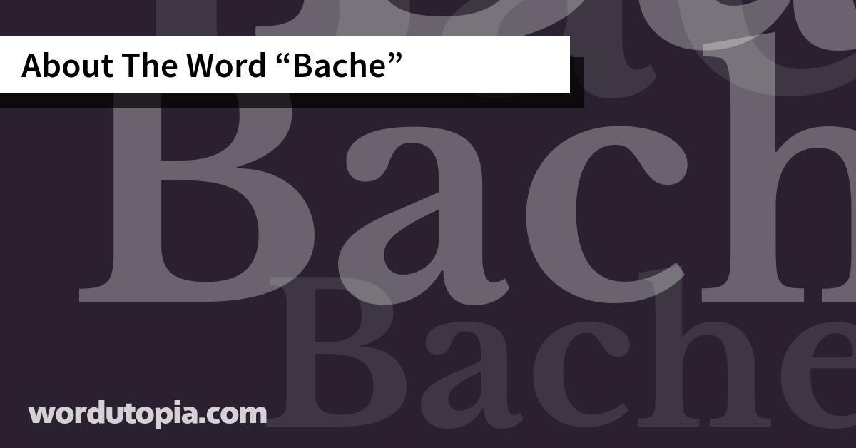 About The Word Bache