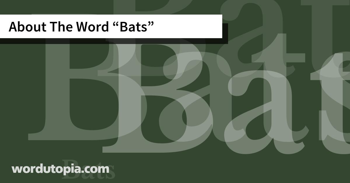 About The Word Bats