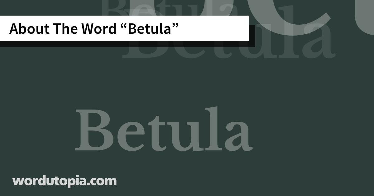 About The Word Betula