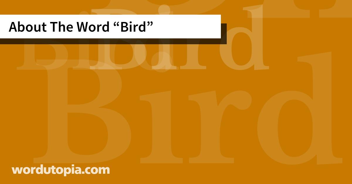 About The Word Bird