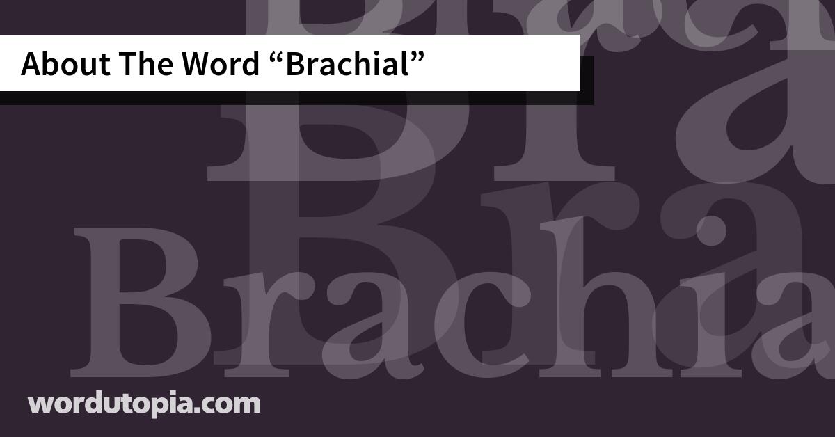 About The Word Brachial