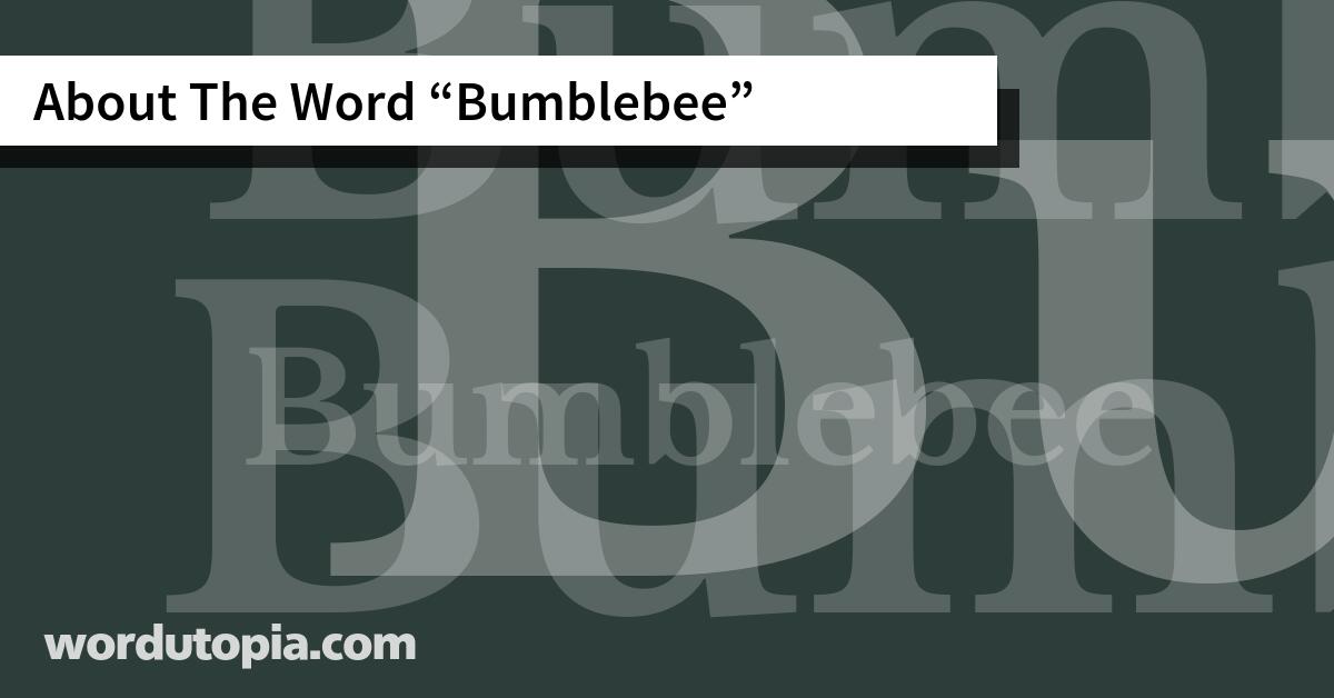About The Word Bumblebee