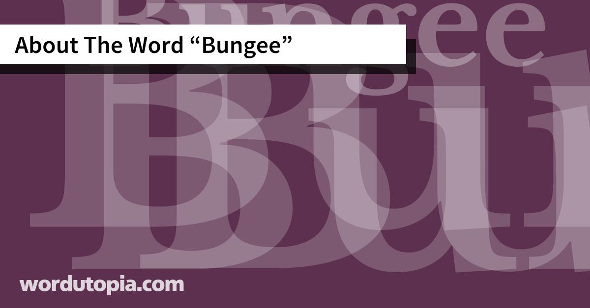 About The Word Bungee