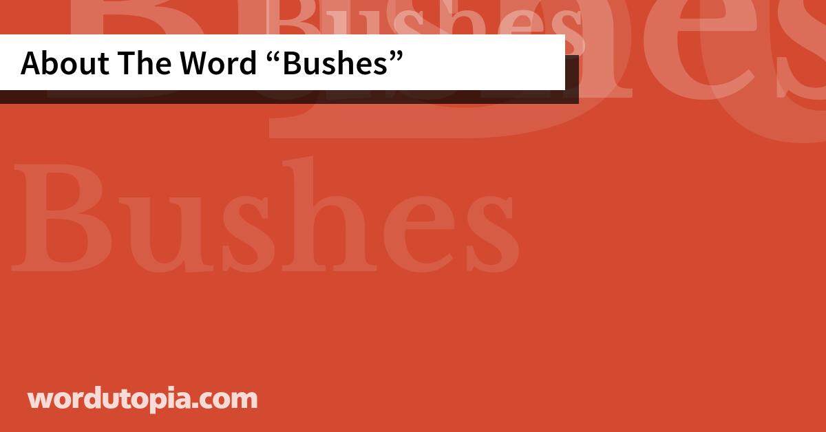 About The Word Bushes