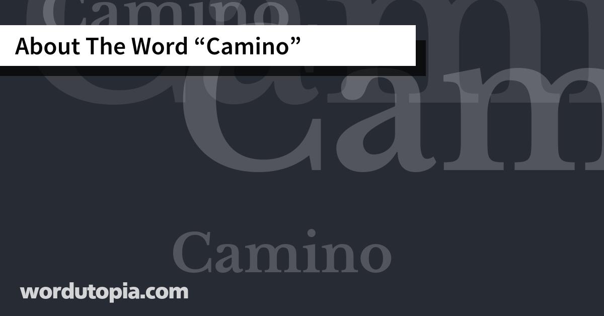 About The Word Camino
