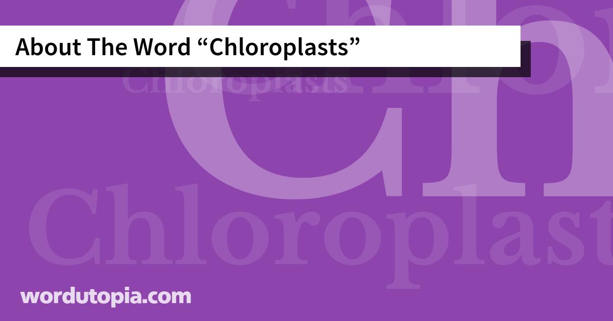 About The Word Chloroplasts