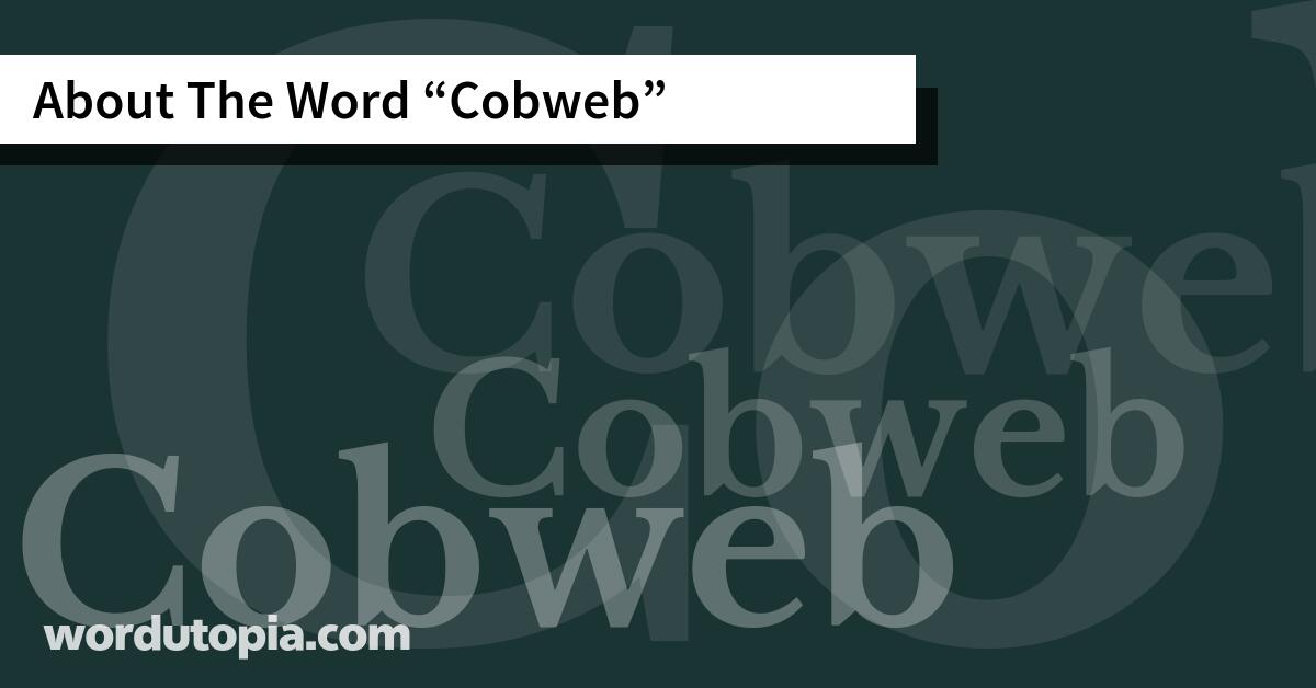 About The Word Cobweb