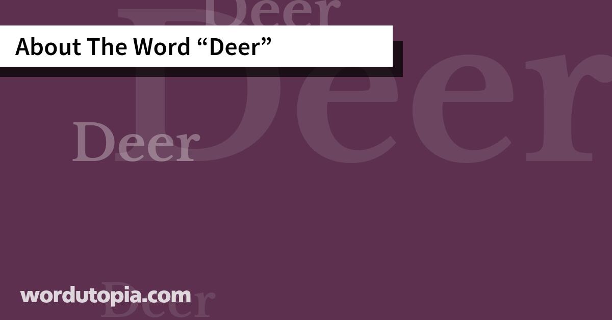 About The Word Deer