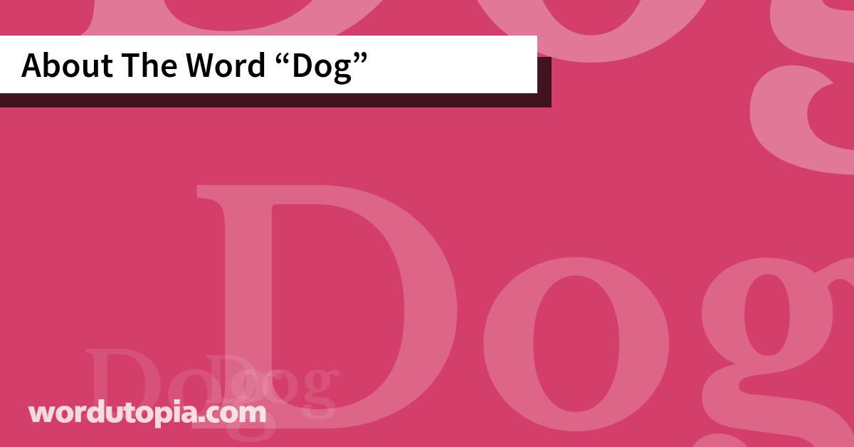 About The Word Dog