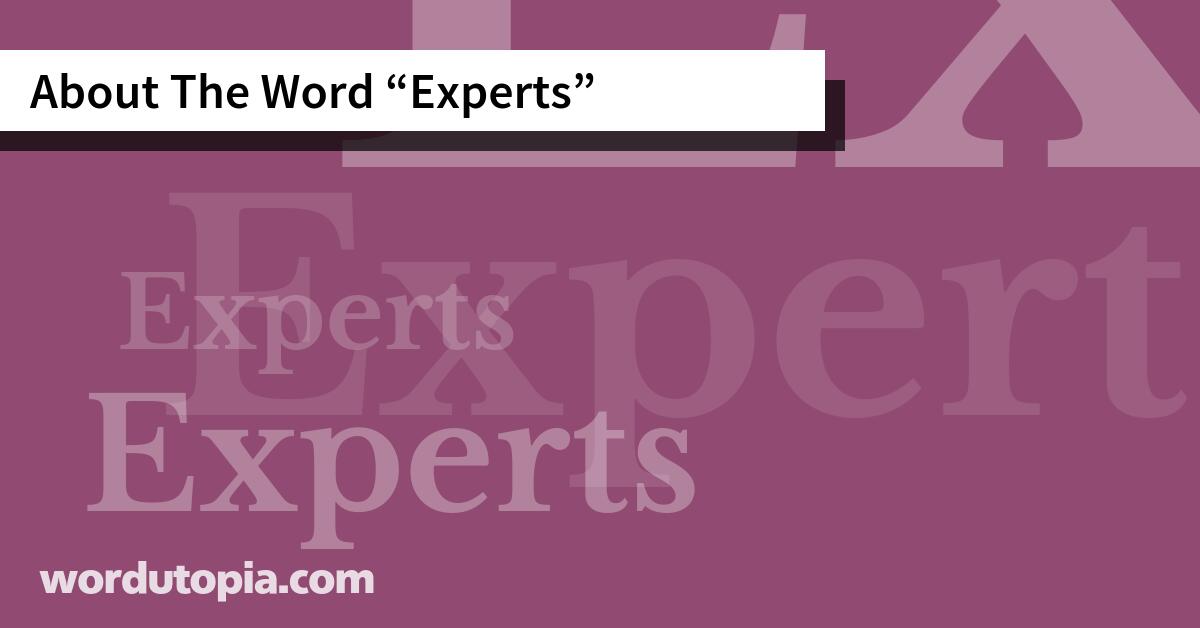 About The Word Experts