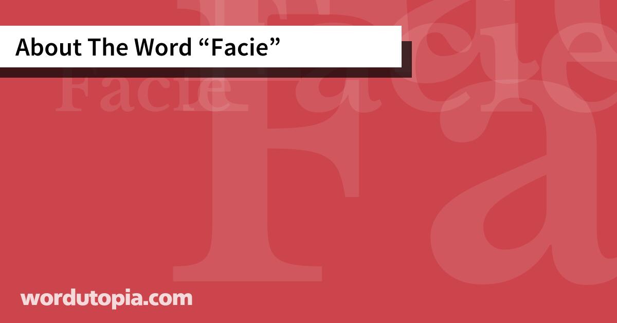About The Word Facie