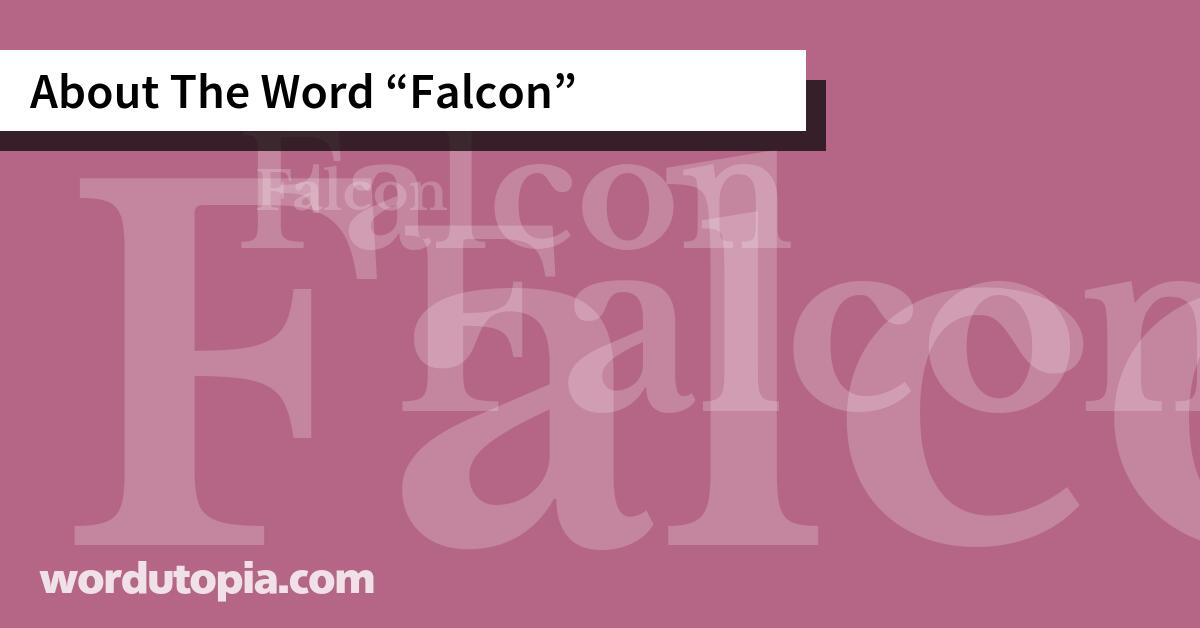 About The Word Falcon