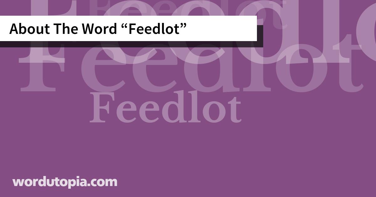 About The Word Feedlot