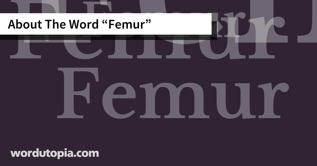 About The Word Femur