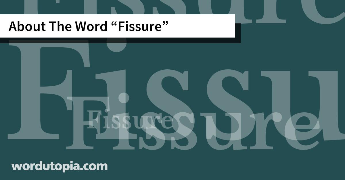 About The Word Fissure