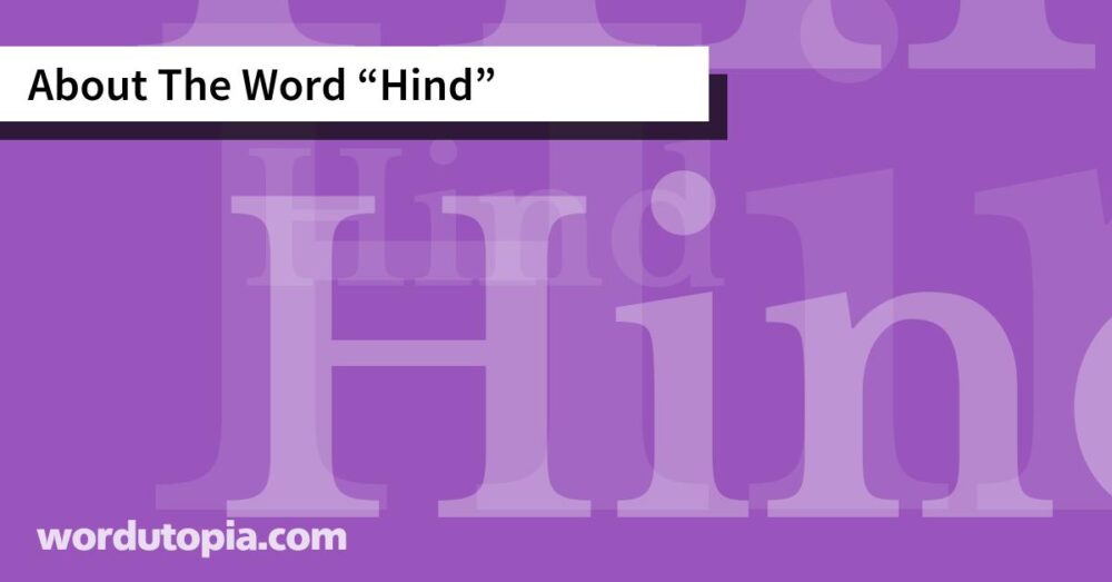 About The Word Hind