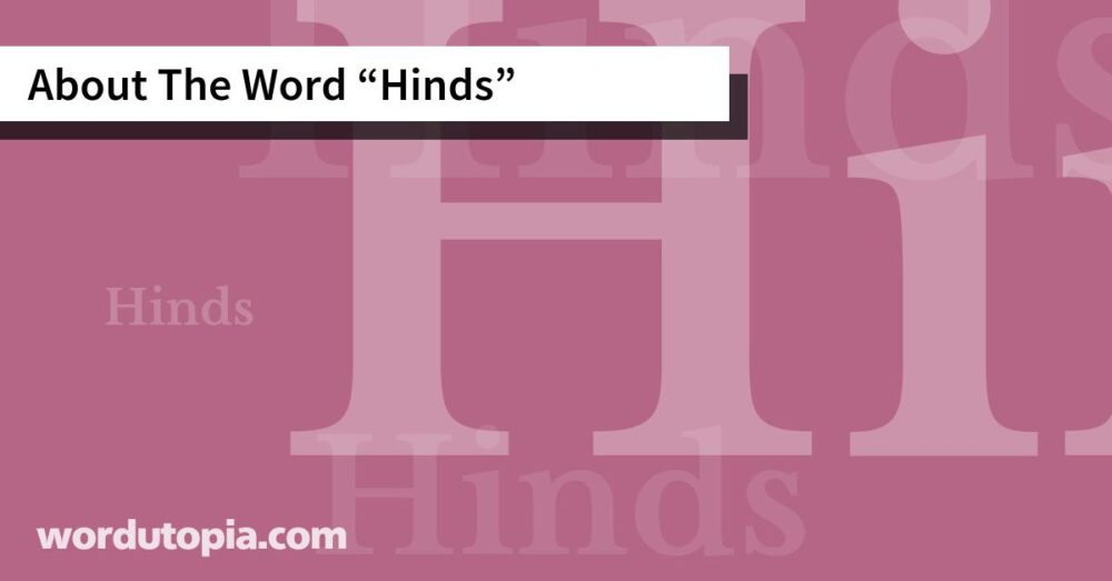 About The Word Hinds