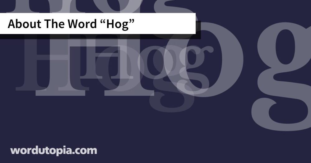 About The Word Hog