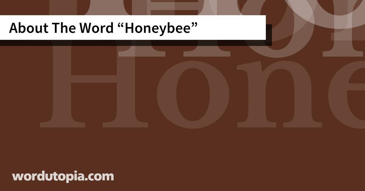 About The Word Honeybee