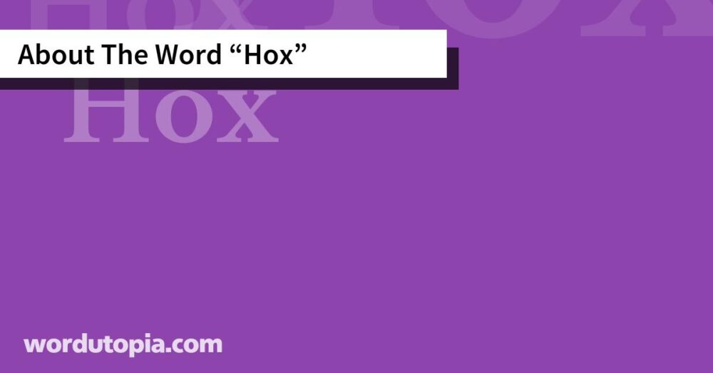 About The Word Hox