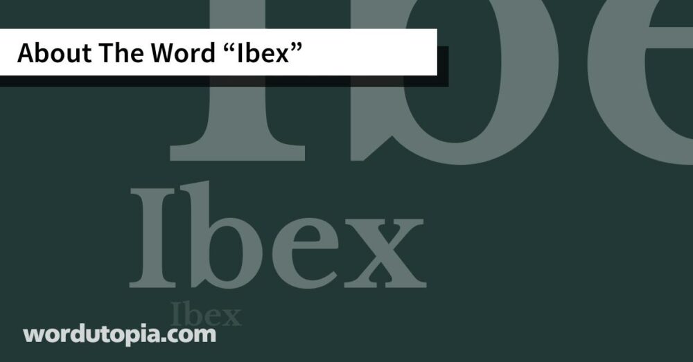 About The Word Ibex