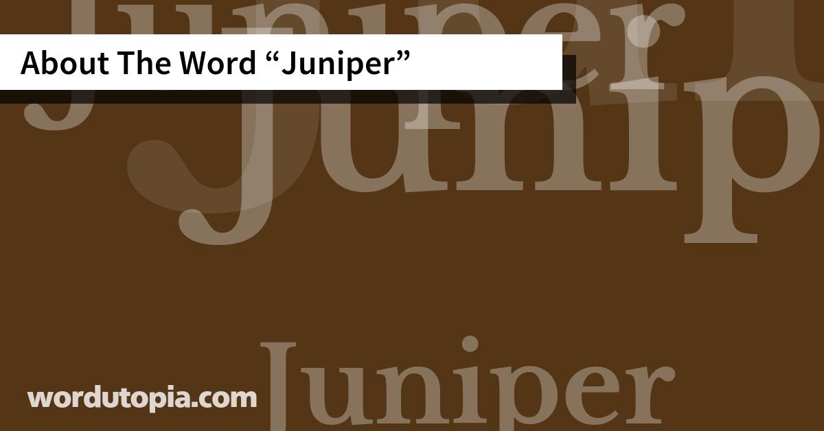About The Word Juniper