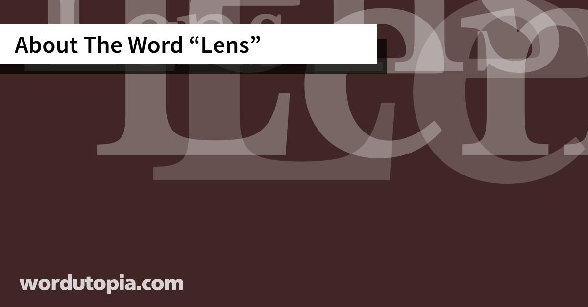 About The Word Lens