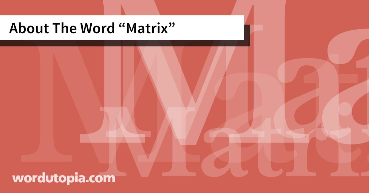 About The Word Matrix