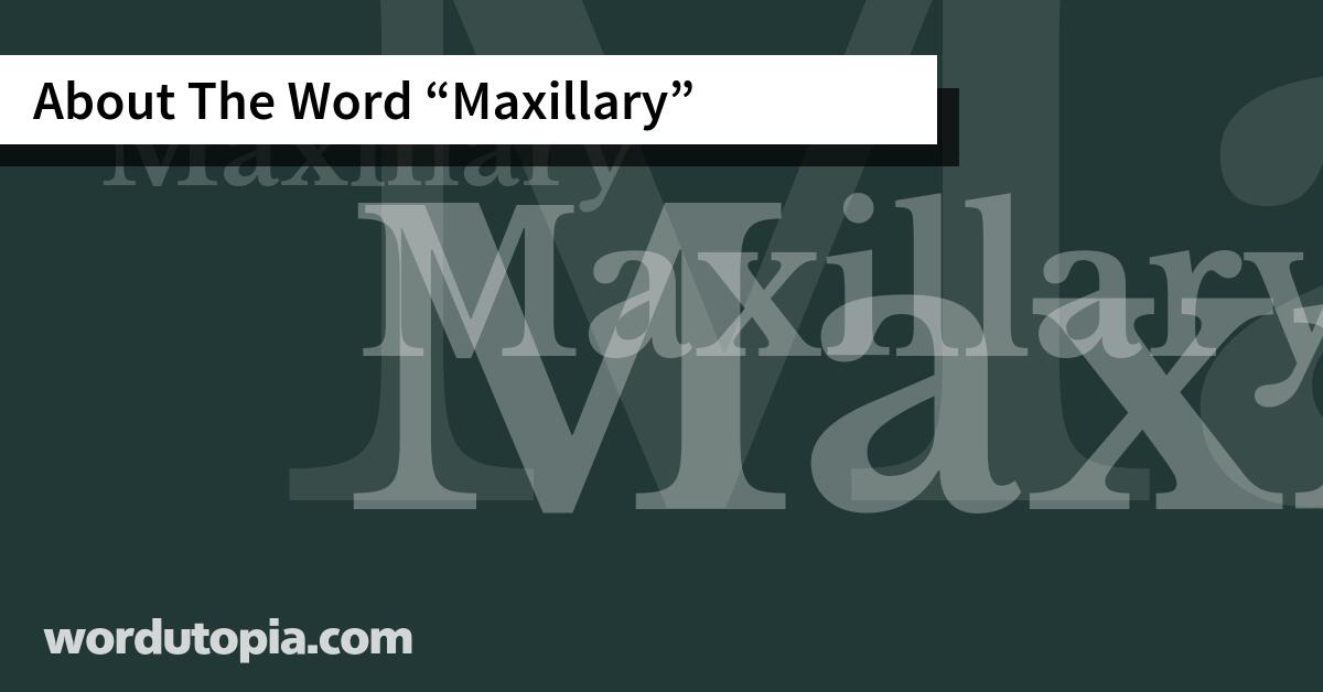 About The Word Maxillary