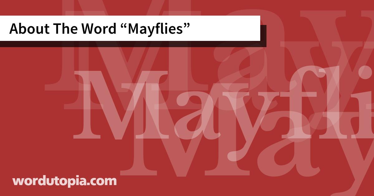 About The Word Mayflies