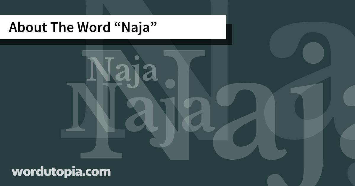 About The Word Naja