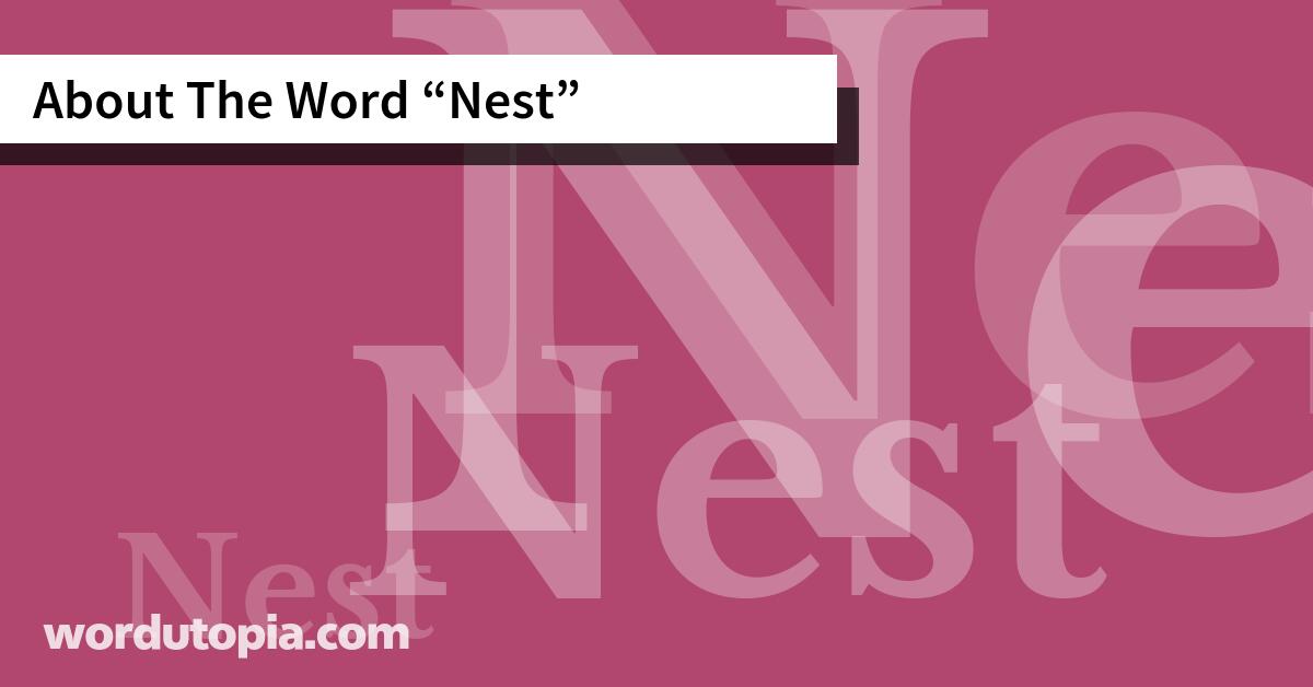About The Word Nest