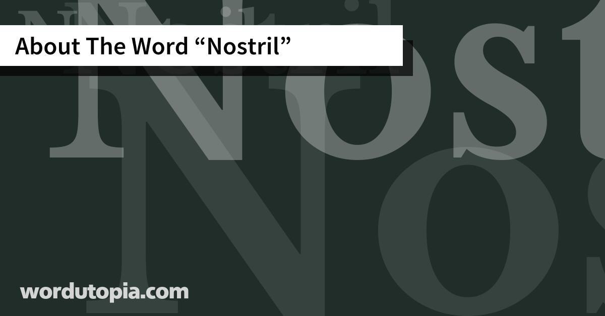 About The Word Nostril