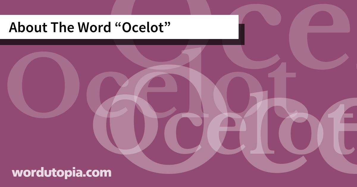 About The Word Ocelot