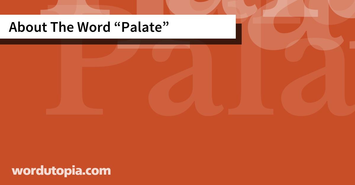 About The Word Palate