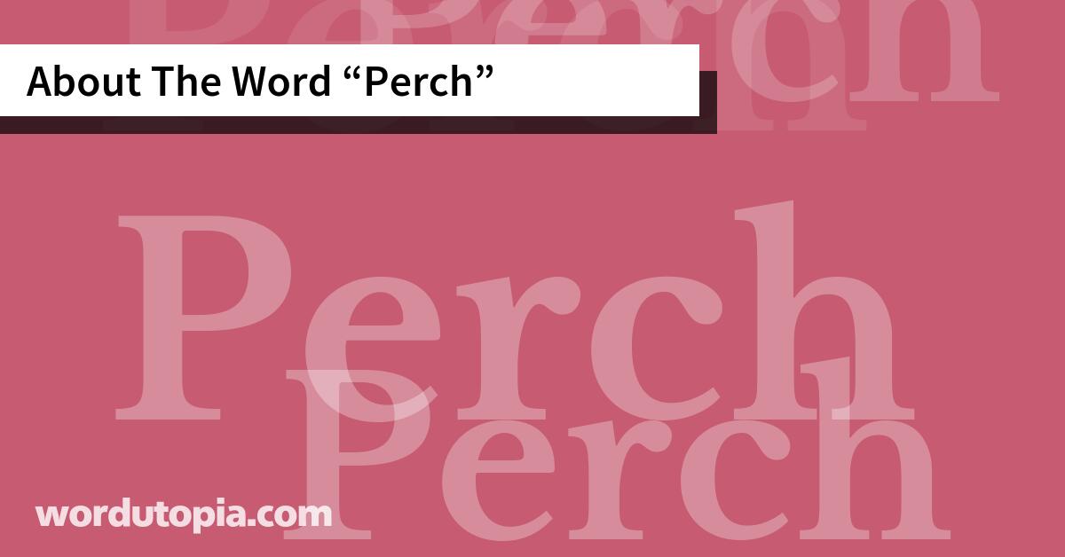 About The Word Perch