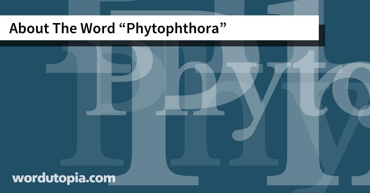 About The Word Phytophthora