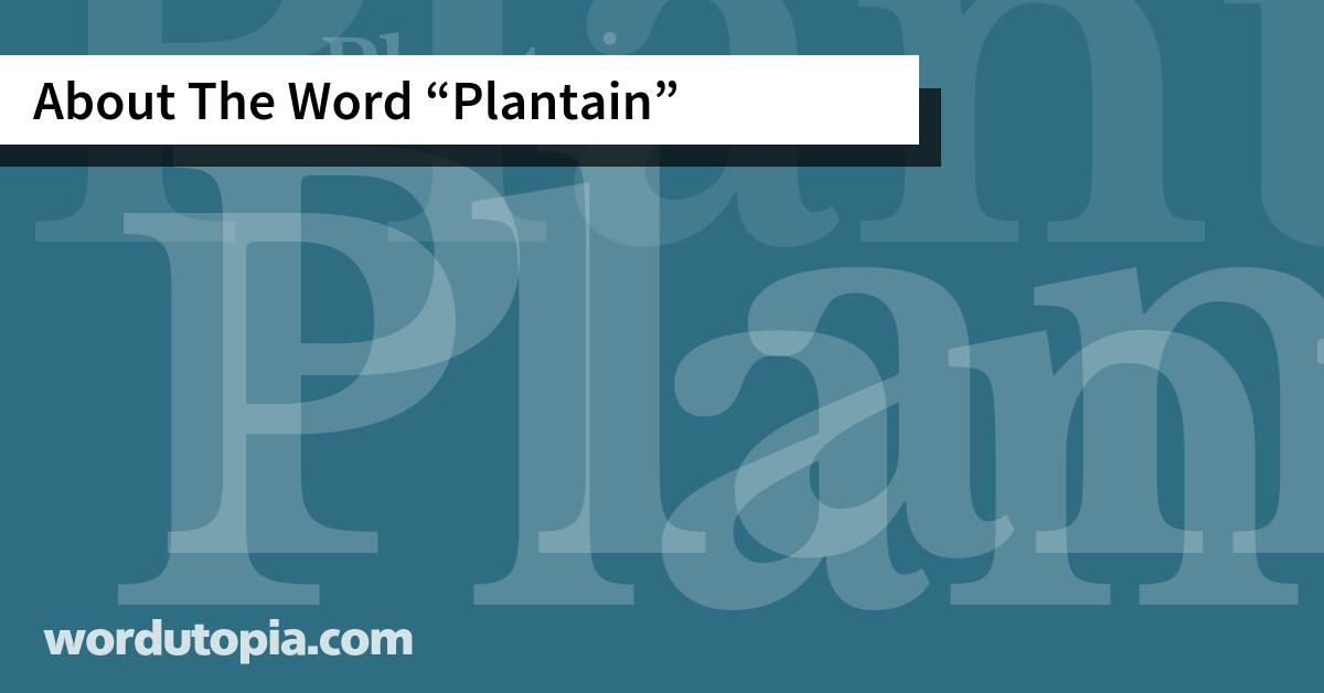 About The Word Plantain