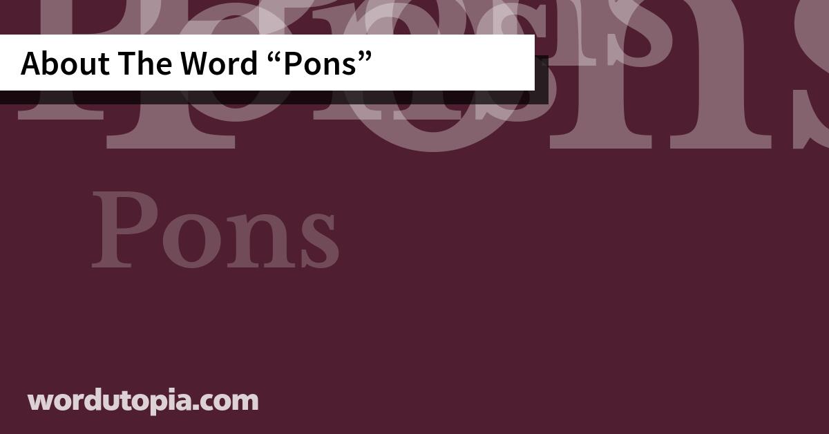 About The Word Pons