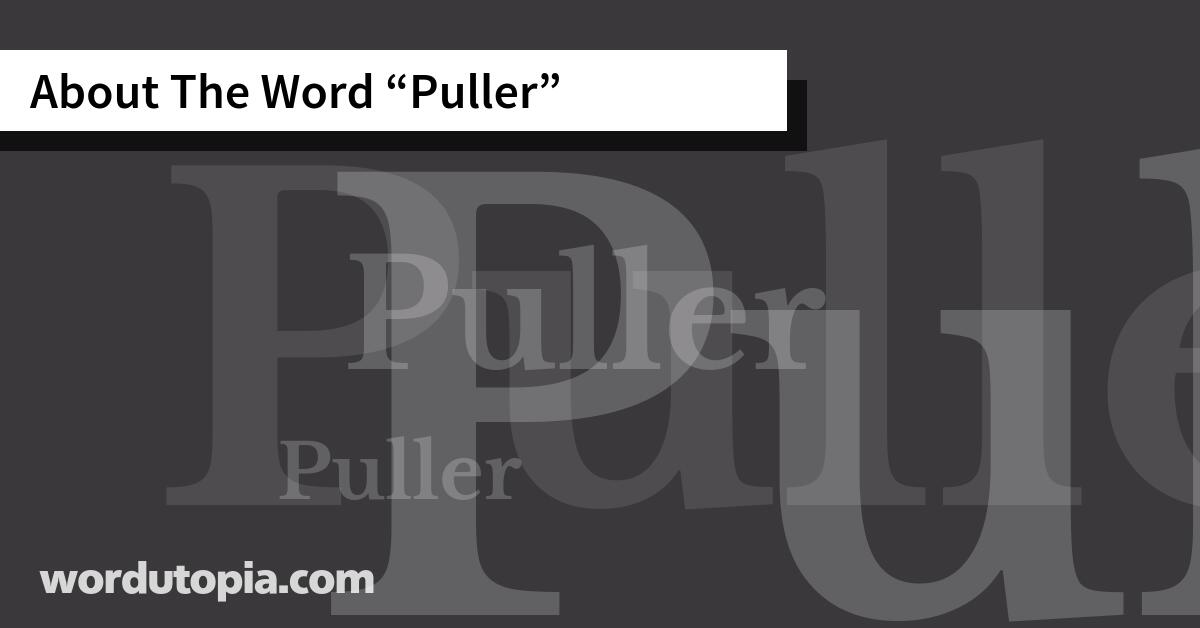 About The Word Puller