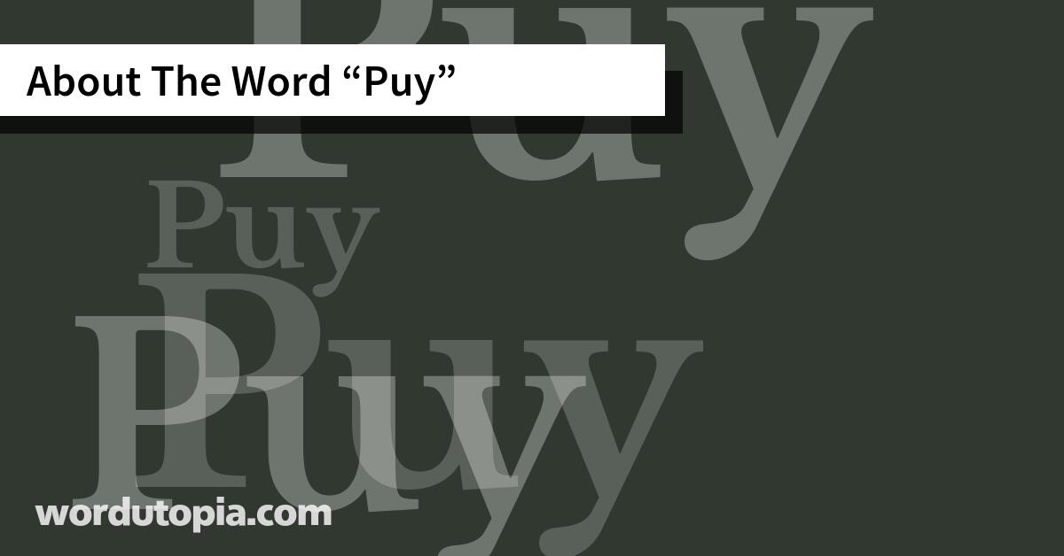 About The Word Puy