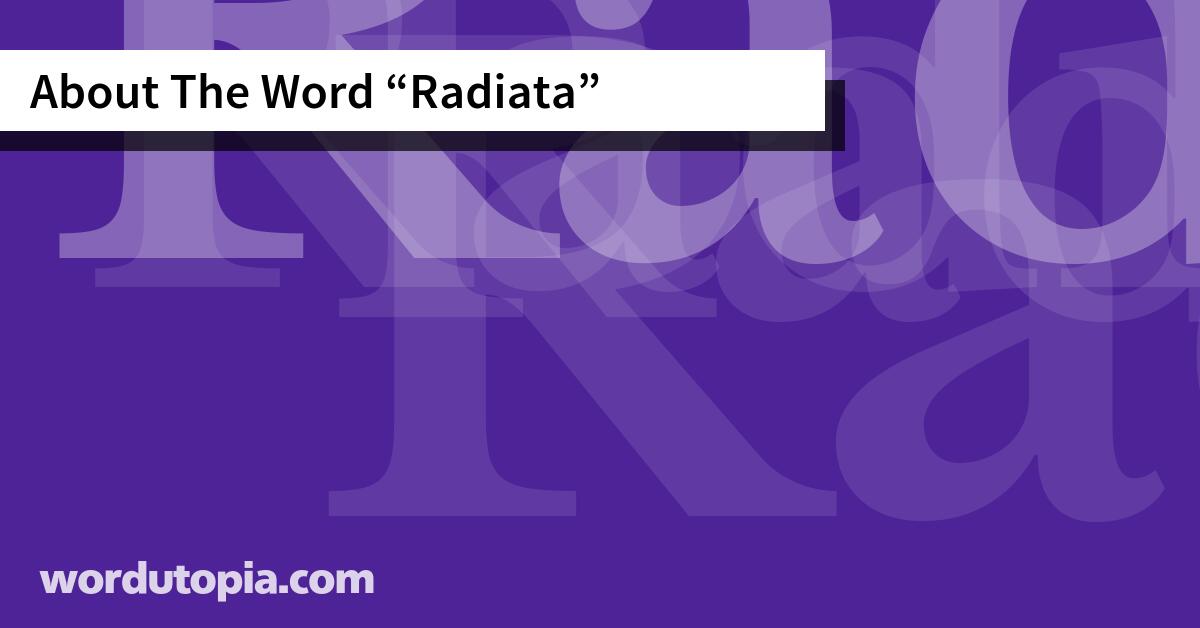 About The Word Radiata