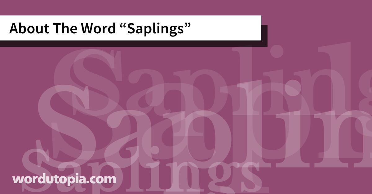 About The Word Saplings