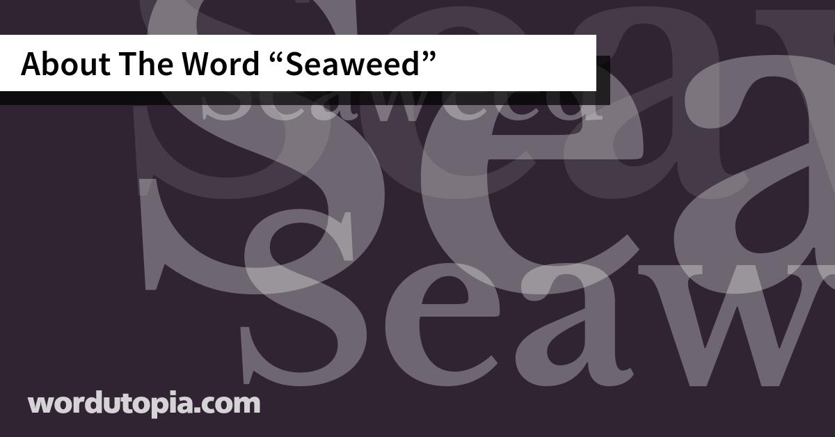About The Word Seaweed