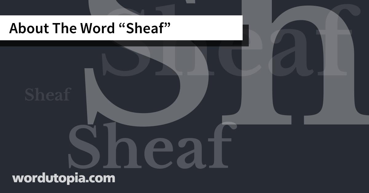 About The Word Sheaf