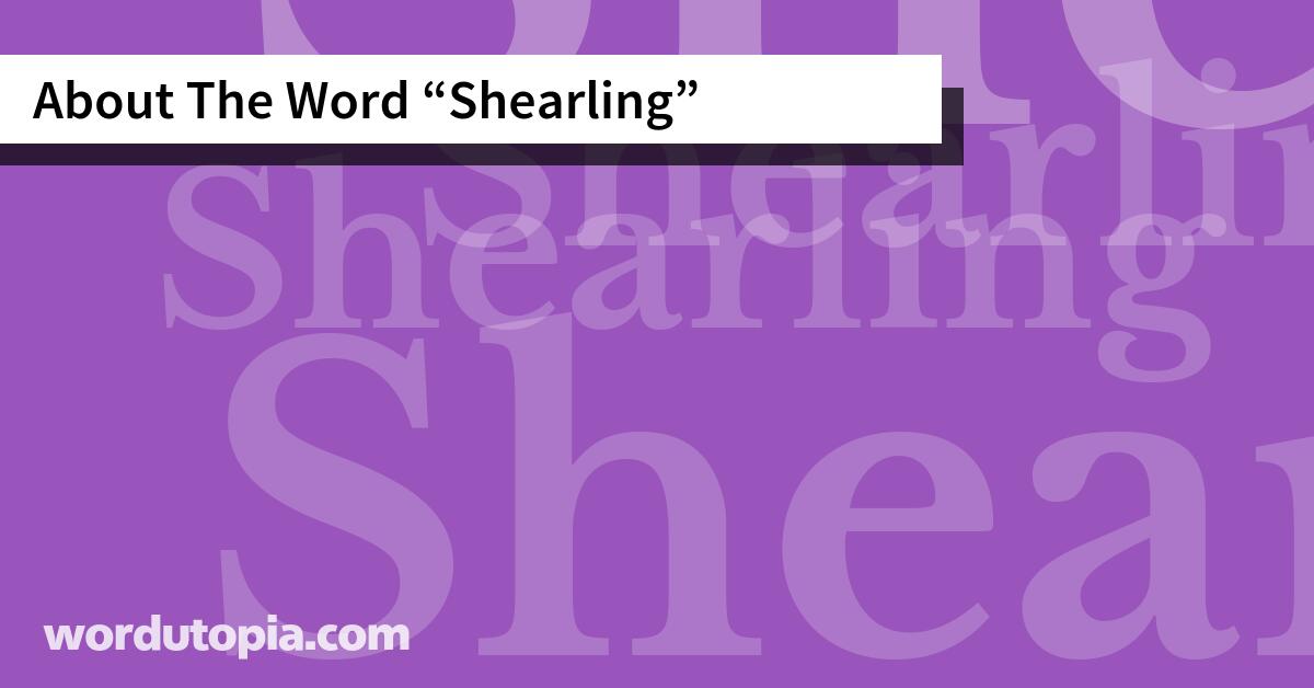 About The Word Shearling