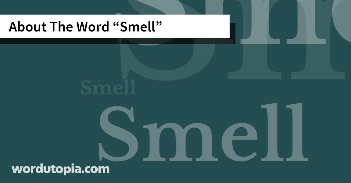 About The Word Smell