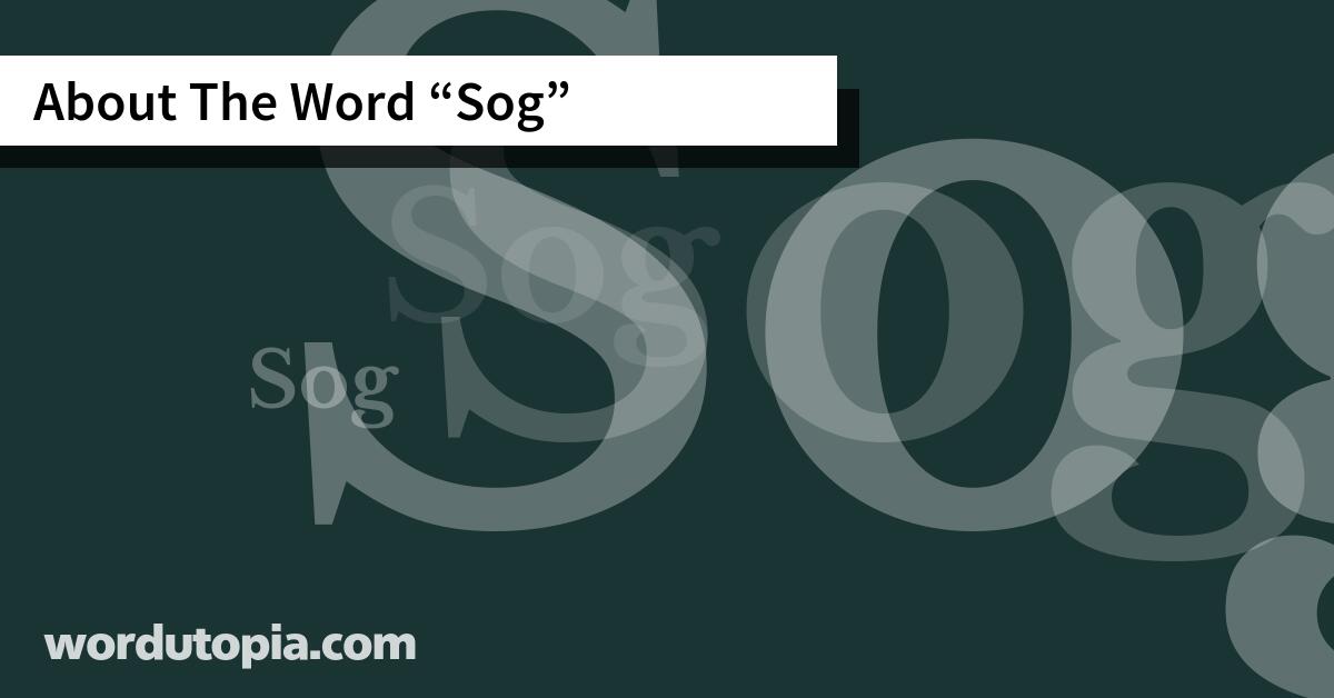 About The Word Sog
